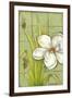 Sugar Magnolia I-Jennifer Goldberger-Framed Art Print