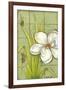 Sugar Magnolia I-Jennifer Goldberger-Framed Premium Giclee Print