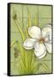 Sugar Magnolia I-Jennifer Goldberger-Framed Stretched Canvas