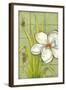 Sugar Magnolia I-Jennifer Goldberger-Framed Art Print