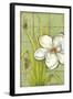 Sugar Magnolia I-Jennifer Goldberger-Framed Art Print