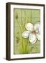 Sugar Magnolia I-Jennifer Goldberger-Framed Art Print