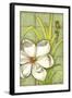 Sugar Magnolia II-Jennifer Goldberger-Framed Art Print