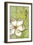 Sugar Magnolia II-Jennifer Goldberger-Framed Art Print