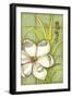 Sugar Magnolia II-Jennifer Goldberger-Framed Art Print