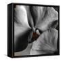 Sugar Orchid-Heidi Bannon-Framed Stretched Canvas