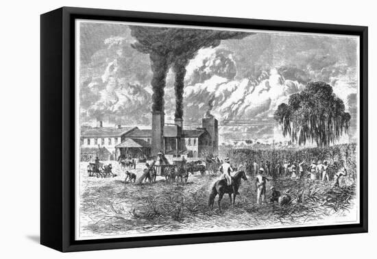 Sugar Plantation, New Orleans, 1870-AR Ward-Framed Stretched Canvas
