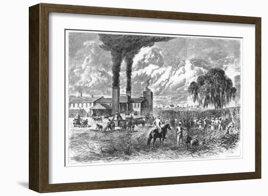 Sugar Plantation, New Orleans, 1870-AR Ward-Framed Giclee Print