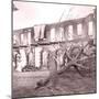 Sugar Plantation Ruins. Tahiti, Late 1800s-Charles Gustave Spitz-Mounted Photographic Print