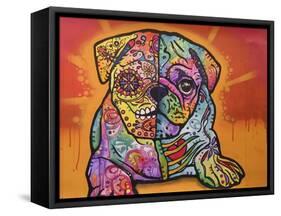 Sugar Pug-Dean Russo-Framed Stretched Canvas