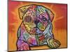 Sugar Pug-Dean Russo-Mounted Premium Giclee Print