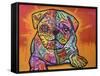 Sugar Pug-Dean Russo-Framed Stretched Canvas