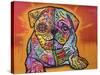 Sugar Pug-Dean Russo-Stretched Canvas