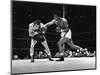 Sugar Ray Robinson-null-Mounted Premium Giclee Print