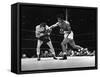 Sugar Ray Robinson-null-Framed Stretched Canvas