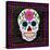 Sugar Skull II-Fiona Stokes-Gilbert-Stretched Canvas