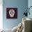 Sugar Skull II-Fiona Stokes-Gilbert-Stretched Canvas displayed on a wall