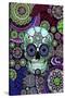 Sugar Skull Sombrero Night-Fusion Idol Arts-Stretched Canvas