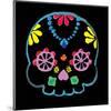 Sugar Skull Velvet II-Rosa Mesa-Mounted Art Print