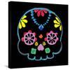 Sugar Skull Velvet II-Rosa Mesa-Stretched Canvas