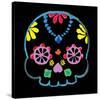 Sugar Skull Velvet II-Rosa Mesa-Stretched Canvas