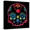 Sugar Skull Velvet III-Rosa Mesa-Stretched Canvas