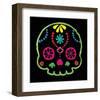 Sugar Skull Velvet IV-Rosa Mesa-Framed Art Print