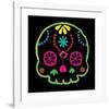 Sugar Skull Velvet IV-Rosa Mesa-Framed Art Print