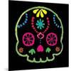 Sugar Skull Velvet IV-Rosa Mesa-Mounted Art Print