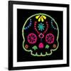 Sugar Skull Velvet IV-Rosa Mesa-Framed Art Print