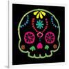 Sugar Skull Velvet IV-Rosa Mesa-Framed Art Print