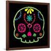 Sugar Skull Velvet IV-Rosa Mesa-Framed Art Print