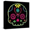 Sugar Skull Velvet IV-Rosa Mesa-Stretched Canvas