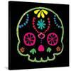 Sugar Skull Velvet IV-Rosa Mesa-Stretched Canvas