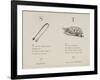 Sugar-tongues and Tortoise From Nonsense Alphabets Drawn and Written by Edward Lear.-Edward Lear-Framed Giclee Print