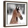 Sugar-Kari Brooks-Framed Art Print