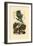 Sugarbush, 1833-39-null-Framed Giclee Print