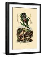 Sugarbush, 1833-39-null-Framed Giclee Print