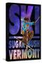 Sugarbush, Vermont - Milky Way Skier-Lantern Press-Stretched Canvas