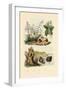 Sugarcane, 1833-39-null-Framed Giclee Print