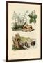 Sugarcane, 1833-39-null-Framed Giclee Print