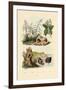 Sugarcane, 1833-39-null-Framed Giclee Print