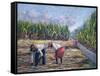 Sugarcane Harvest, 1986-Carlton Murrell-Framed Stretched Canvas
