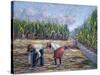 Sugarcane Harvest, 1986-Carlton Murrell-Stretched Canvas