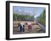 Sugarcane Harvest, 1986-Carlton Murrell-Framed Giclee Print