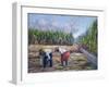 Sugarcane Harvest, 1986-Carlton Murrell-Framed Giclee Print