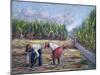 Sugarcane Harvest, 1986-Carlton Murrell-Mounted Giclee Print