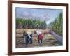 Sugarcane Harvest, 1986-Carlton Murrell-Framed Giclee Print