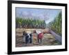 Sugarcane Harvest, 1986-Carlton Murrell-Framed Giclee Print