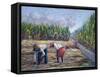 Sugarcane Harvest, 1986-Carlton Murrell-Framed Stretched Canvas